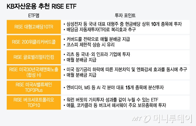 KB자산운용 추천 RISE ETF/그래픽=윤선정