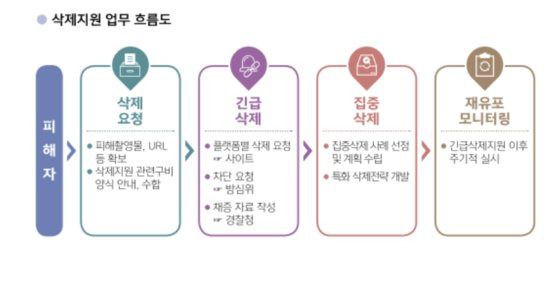 디성센터는 각 사이트나 플랫폼에 딥페이크물 삭제 요청한다. 공식사이트들은 딥페이크물 삭제 조치를 취지하지만, 불법 음란물 사이트 등에서는 디성센터의 요청을 받아들이지 않는다고 한다. 사진 한국여성인권진흥원