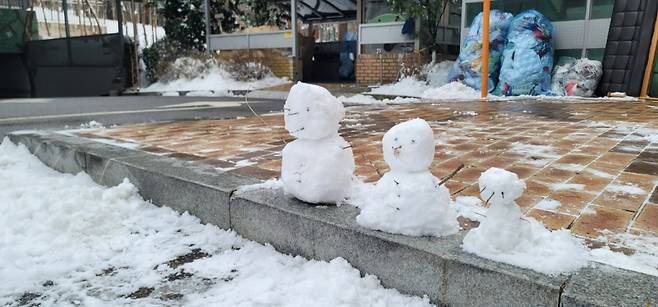 이정도의 여유가, 화목한 장면이 새해에 틈틈이 깃들기를. 어쩌면 가장 엄격하게 대했을, 자책으로 허물어트렸을, 그러나 가장 사랑했으면 싶은 나를 위하여./사진=독자 제공