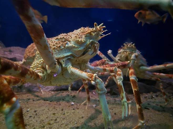 7ef3da36e2f206a26d81f6ec418274641a