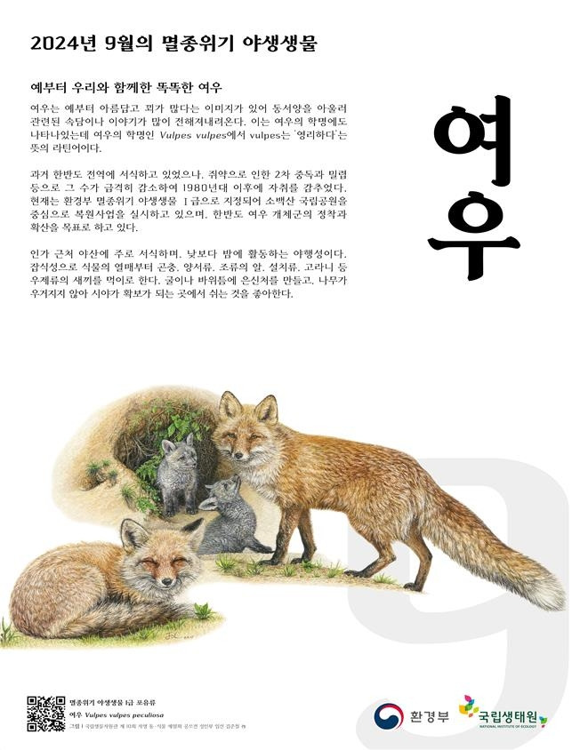 9월의 멸종위기 야생생물 '여우' [환경부 제공. 재판매 및 DB 금지]