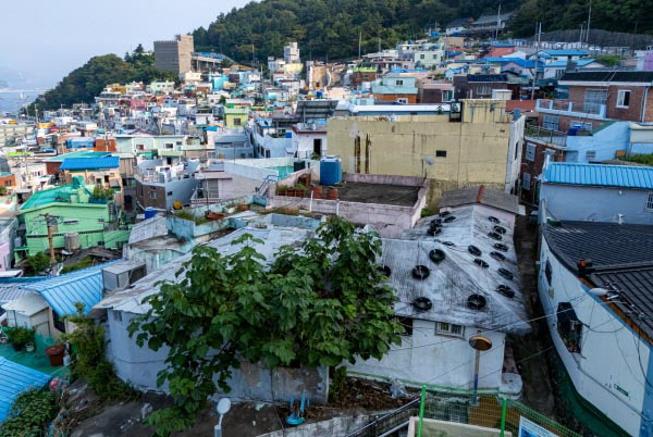 고령화와 인구유출로 부산의 빈집 문제가 심각하다. 사진은 부산 초장동 일대 전경. 이원준 기자