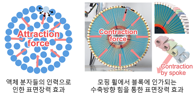 스마트체인블록에서 수축방향 힘과 액체방울에서 분자 간 인력으로 인한 표면장력 효과 비교. 한국기계연구원