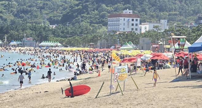 울주군 진하해수욕 전경/사진=울주군