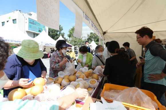 강남구 직거래 장터의 모습. 강남구 제공