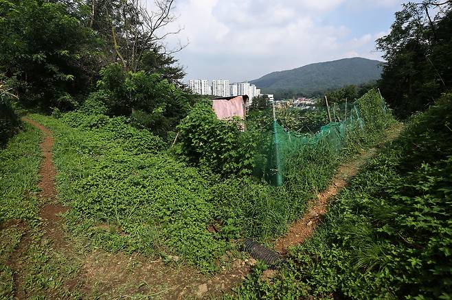 서울 그린벨트 지역 중 하나인 서초구 내곡동 개발제한구역 일대 모습. 멀리 아파트가 보인다. /연합뉴스