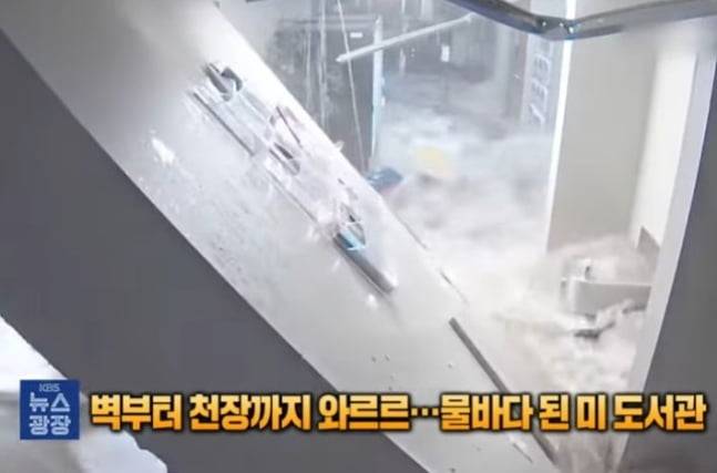 사진 = KBS 뉴스 관련 보도 캡처