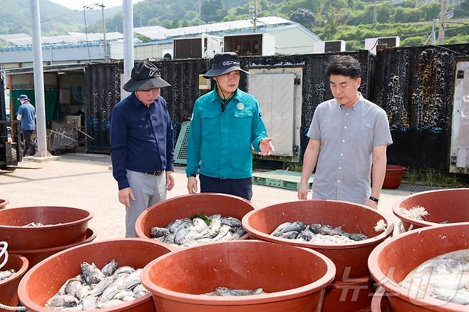 고수온 피해 양식어가를 방문한 천영기 통영시장.(통영시청 제공)