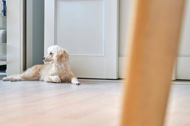 게티이미지뱅크