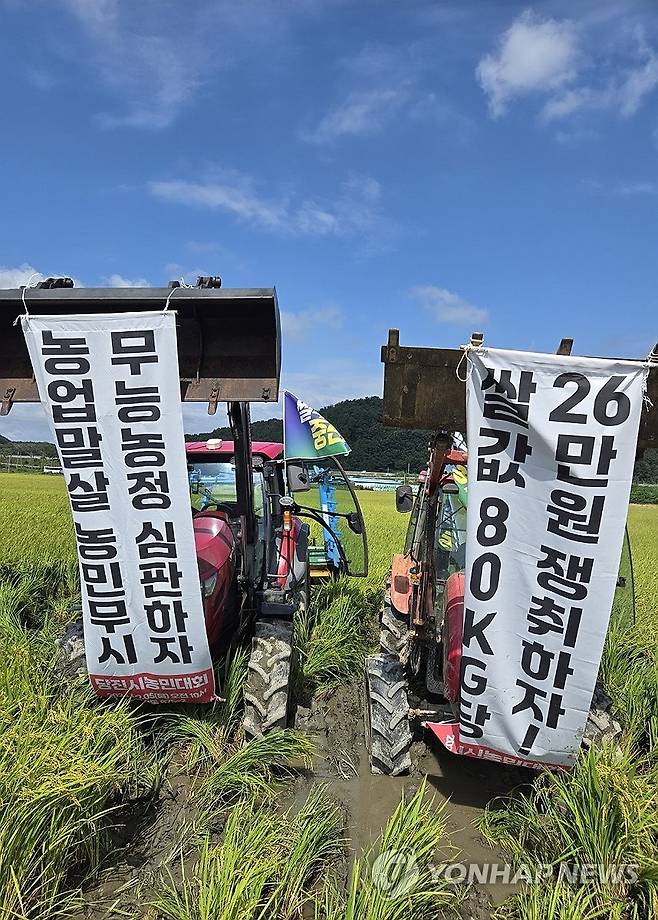 "쌀값 보장하라"…충남 농민들, 수확 앞둔 논 갈아엎어 (당진=연합뉴스) 충남 당진지역 농민들이 5일 '쌀값 보장' 등을 요구하며 수확을 앞둔 논을 트랙터로 갈아엎고 있다. 2024.9.5 [전국농민회총연맹 충남도연맹 제공. 재판매 및 DB 금지] cobra@yna.co.kr