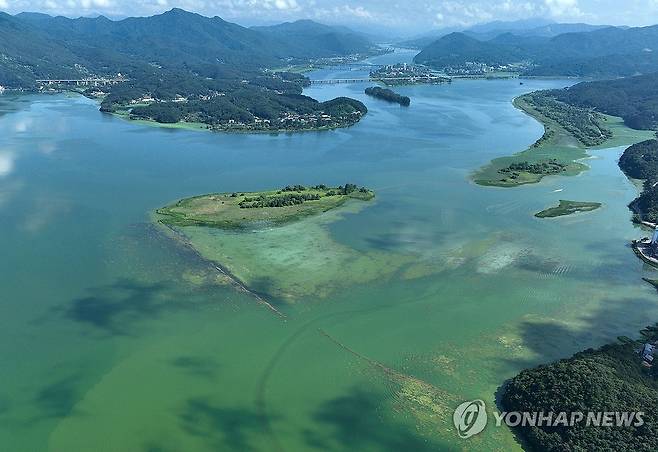 연일 계속되는 폭염, 녹색으로 물든 팔당호 (경기광주=연합뉴스) 연일 폭염이 계속된 지난 8월 18일 오전 경기도 광주시 경안천이 유입되는 팔당호 일대가 녹조로 초록빛을 띄고 있다. 2024.8.18 [연합뉴스 사진. 재판매 및 DB 금지]