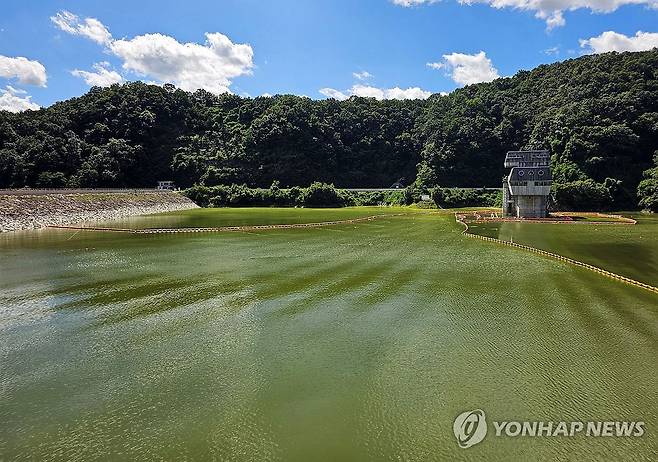 녹색 물감 풀어 놓은 듯한 횡성호 (횡성=연합뉴스) 이재현 기자 = 폭염이 이어진 30일 강원 횡성군 횡성댐 취수탑 주변의 횡성호에 남조류가 발생해 녹색 물감을 풀어 놓은 듯하다. 원주지방환경청은 전날 오후 3시를 기해 이 일대에 조류경보 관심 단계를 발령했다. 횡성호의 조류경보 관심 발령은 2013년, 2022년에 이어 이번이 세 번째다. 2024.8.30 jlee@yna.co.kr