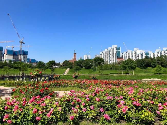 5위 ‘힐링 출퇴근길 따릉이길’. 안양천에서 시작해 안양천 생태초 화원, 광명교 지하차도를 지나는 총 6km의 코스.