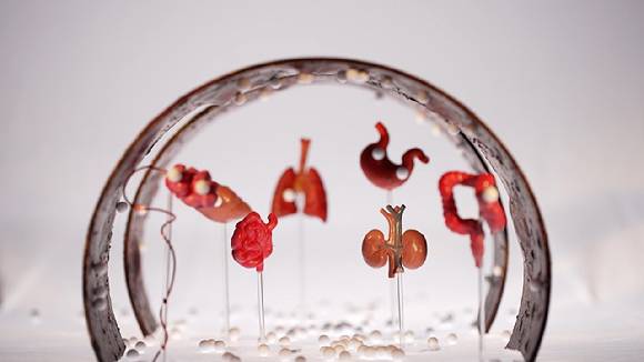 생소하지만 꼭 알아야 하는 복막암, 까다롭고 치명적인 질병이지만 포기하지 않는다면 이겨낼 수 있다. [사진=EBS]