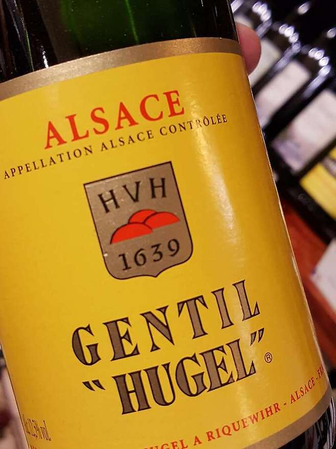 파미유 위겔 정띠. 최현태 기자