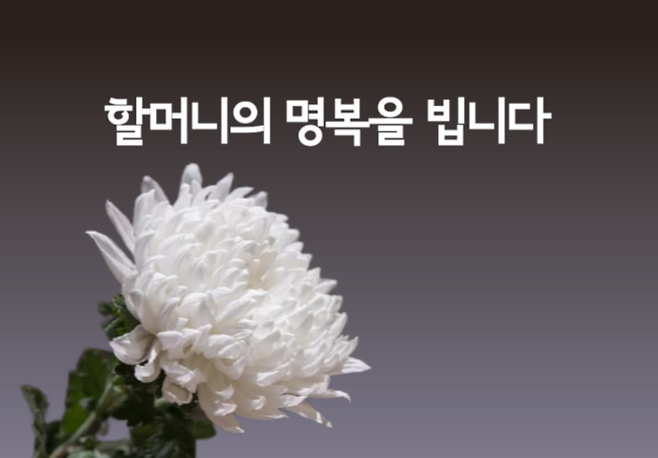 [사진 제공 = 정의기억연대]