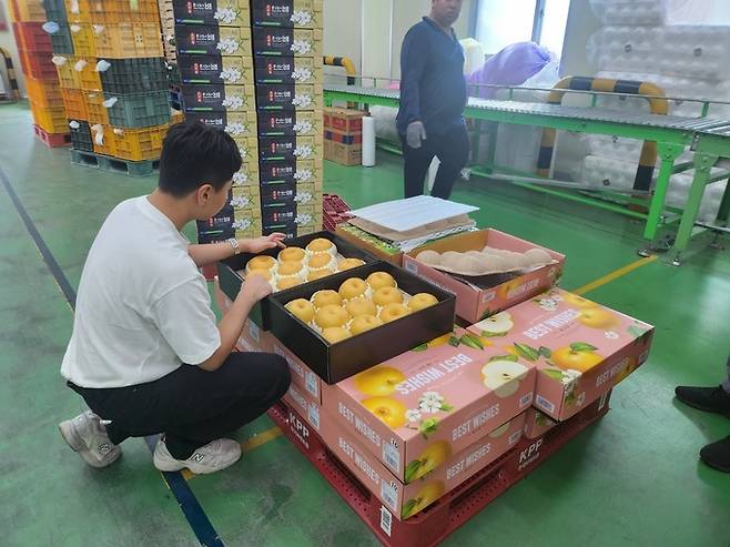 이마트 관계자가 선별작업장에서 검수작업을 마친 배의 신선도와 외관 등을 체크하고 있다. 박윤희 기자