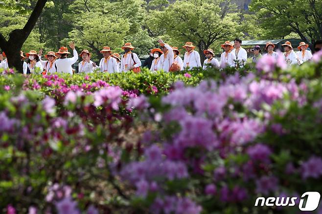 걷기행사 장면 (자료사진)/뉴스1