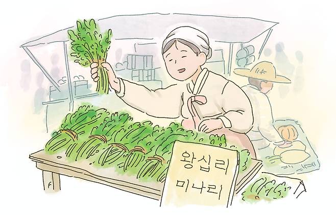 왕십리는 100년 전 미나리를 비롯한 채소산지로 유명했다. '왕십리 미나리'는 1930년대 만주, 일본까지 수출할 만큼 이름난 경성 특산품이었다./일러스트=조선디자인랩 정다운