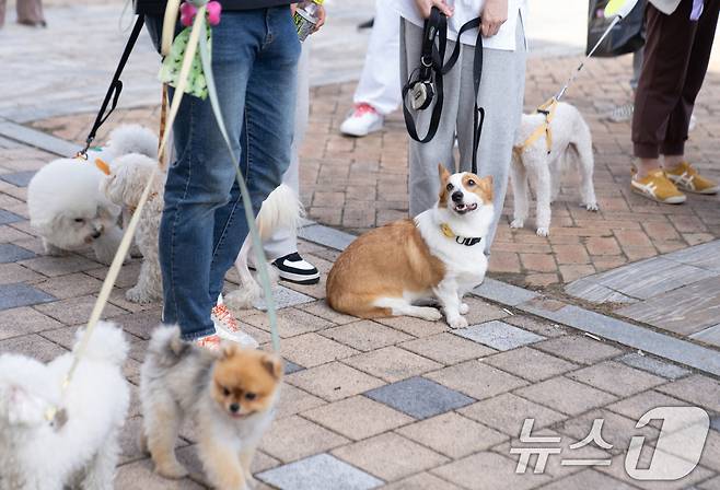 광주시 반려동물 한마당 자료사진.(광주시 제공)/뉴스1