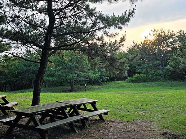 망월산 정상부의 산상공원.