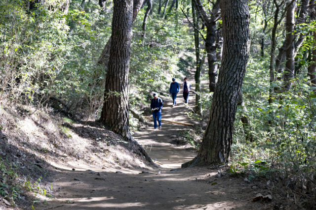 울산시 북구 동대산 등산로 맨발산책로. 사진제공=울산 북구