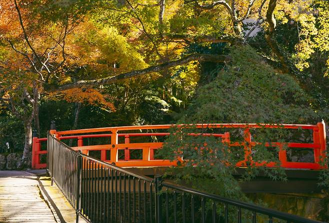 산젠인으로 가는 길
