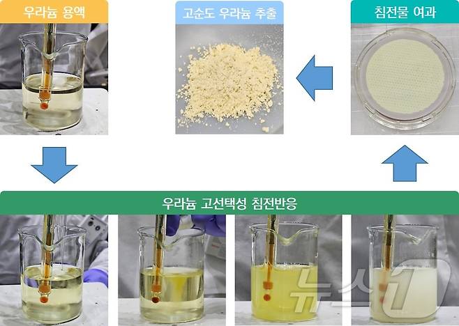 우라늄 용액에서 침전반응을 통해 고순도 우라늄을 추출하는 과정.(한국원자력연구원 제공)/뉴스1