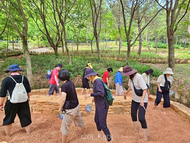 월아산 숲속의 진주 맨발로숲  /사진-진주시