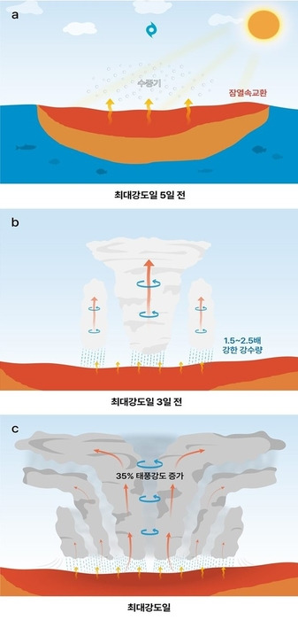 고수온이 태풍을 강화시키는 주요 메커니즘 도식도