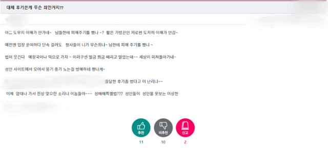 한 성매매 후기 사이트 이용자가 최근 경찰이 불법 촬영물과 함께 성매매 후기글을 작성한 이용자를 검거했다는 보도를 접하고 이에 불만을 드러내고 있다. 화면 캡처