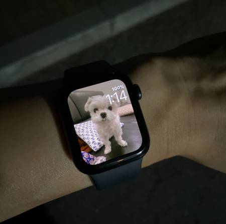 동네를 나서던 시간, 새벽 1시 14분. 한창 잠잘 시간에 출근. 밤샘 때문에 이틀은 피로에 시달려야 했다. 40대라 어쩔 수 없다./사진=스마트워치 배경화면이 똘이인 남형도 기자