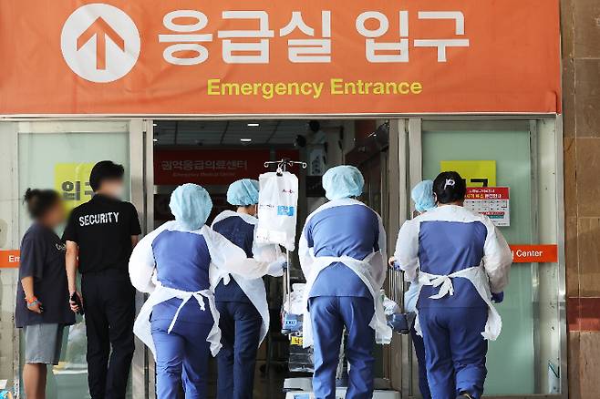 매일 천명씩 죽어나갔으면 좋겠네…정부, 패륜 글 쓴 의대생 '수사 의뢰'