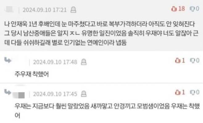 안세하의 학교폭력 의혹 게시글에 주우재를 언급하는 댓글이 달렸다. 온라인 커뮤니티 캡처