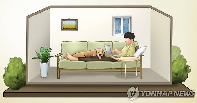 1인 가구 (PG) [박은주 제작] 사진합성·일러스트