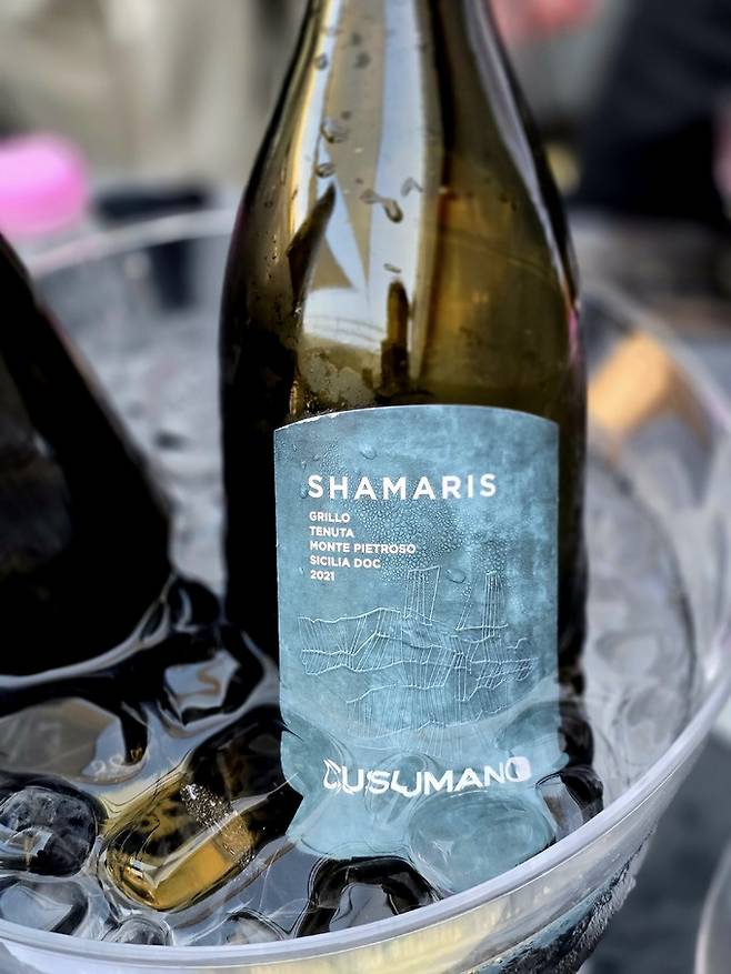 쿠수마노 샤마리스 그릴로. 최현태 기자