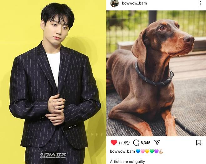 BTS 정국. (사진=IS포토, 정국 반려견 SNS 캡처)