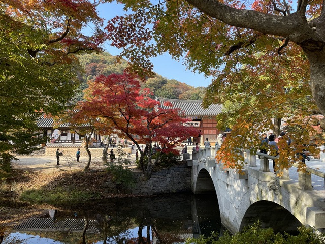 고창 선운사 전경.