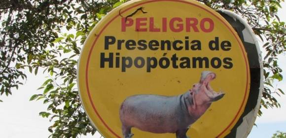 사진=마그달레나 강에 하마가 출몰한다는 경고 안내판이 설치돼 있다