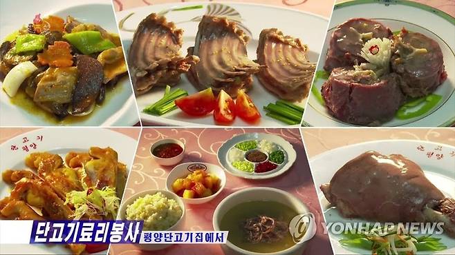 조선중앙TV는 16일 초복을 맞아 평양단고기집과 문흥단고기집 등 유명 단고기(개고기) 식당이 손님들로 성황을 이뤘다고 보도했다. 사진은 평양단고기집의 다양한 단고기 요리. [사진 출처 = 연합뉴스]