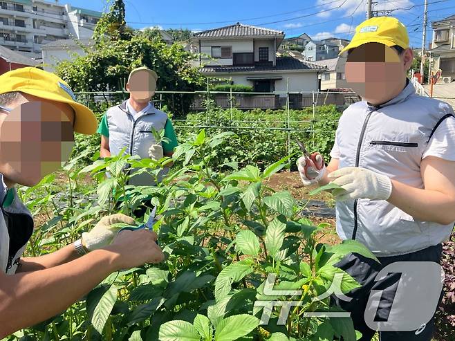 광주 은둔 청년 3명이 일본 요코하마에서 사회복귀 연수 프로그램 에 참가하고 있다.(광주시 제공)/뉴스1