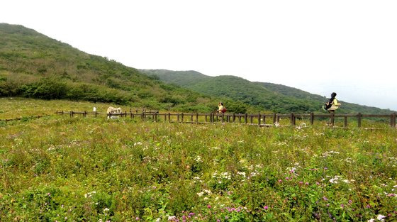 설악산 곰배골길. 국립공원공단 제공