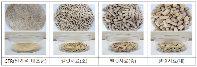 밀기울 100% 사료와 농촌진흥청이 새로 개발한 펠릿형 고소애 전용 인공사료. 농촌진흥청