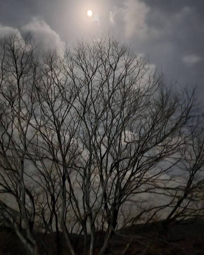 2022년 2월 20일 새벽 통도사 서운암 부근의 야경. /김한수 기자