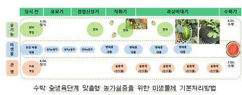 기본 처리 방법. 농진청 제공