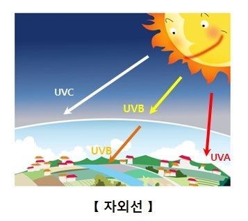 자외선 구조도. 자료 서울아산병원