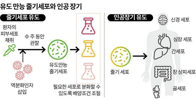 그래픽=송정근기자