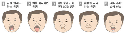 혀와 입 주변 근육을 단련하는 운동./사진=헬스조선 DB