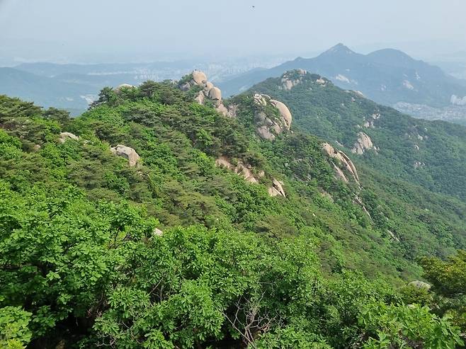 채석장으로 쓰였던 수락산과 불암산. 수락산 정상에서 바라본 수락산 능선 모습. 멀리 뽀족한 산은 불암산이다. 조선시대 노원채석장은 수락산과 불암산을 말한다. 성곽수축 등 대량의 석재가 필요한 공사장에서 주로 조달했다. [배한철 기자]