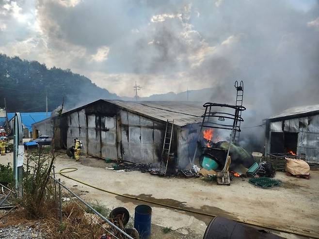 충남 부여의 한 양계장에서 불이 나 닭 3만7000여마리가 폐사했다. 소방 추산으로 5억3900만원의 재산 피해가 발생했다. /사진=뉴시스(부여소방서 제공)